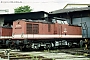 LEW 12557 - DB AG "202 275-4"
21.05.1998 - Schwerin
Thomas Rose