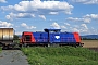 LEW 13876 - Rhenus Rail "103"
21.08.2014 - Stockstadt (Rhein)
Walter Kuhl