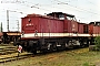 LEW 15088 - DB AG "202 816-5"
28.04.1999 - Stendal
Thomas Rose