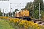 LEW 17313 - DB Bahnbau "92 80 1293 010-5"
01.09.2016 - Lübben
Frank Weimer
