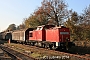 LEW 17847 - DB Schenker "298 319-5"
07.11.2014 - Beelitz Stadt
Ingo Wlodasch